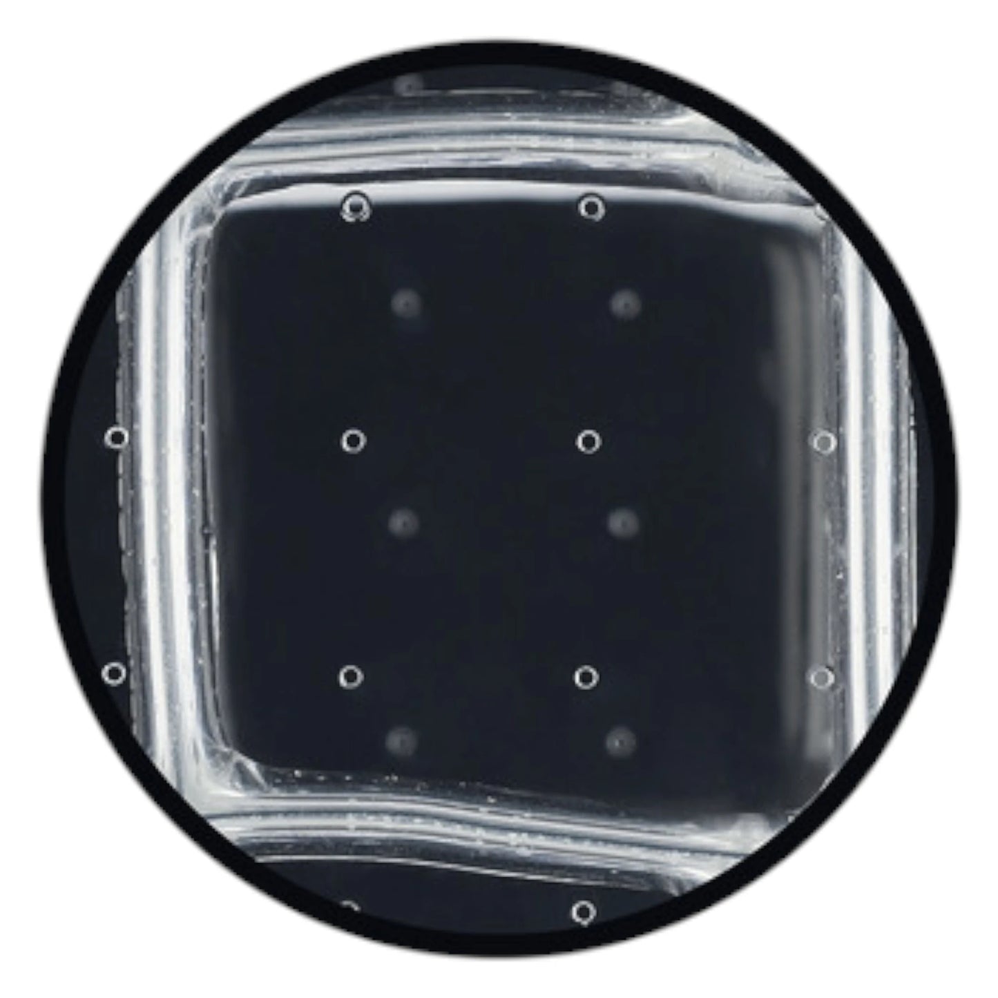 Skillevæg Rossoacoustic CP30