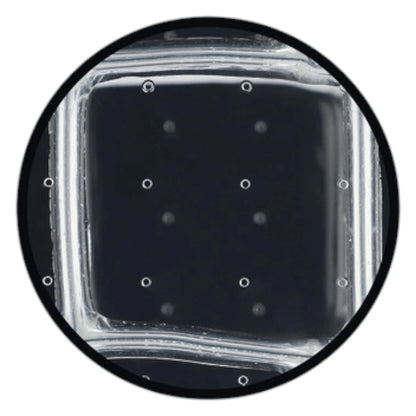 Skillevæg Rossoacoustic CP30