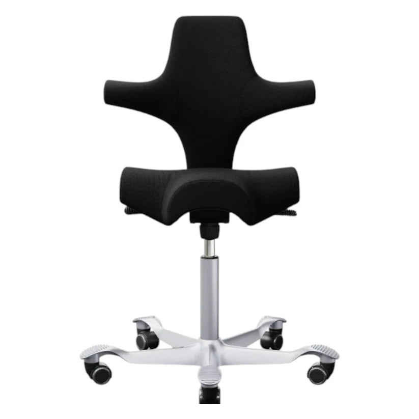 Nypolstret og renoveret Håg Capisco i valgfri farve