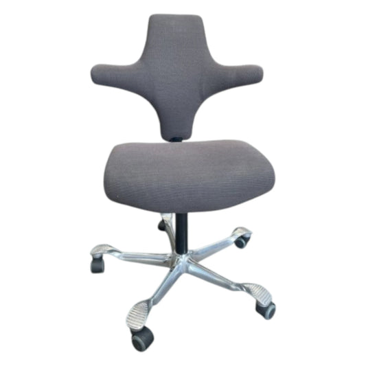 Håg Capisco 8126 grå