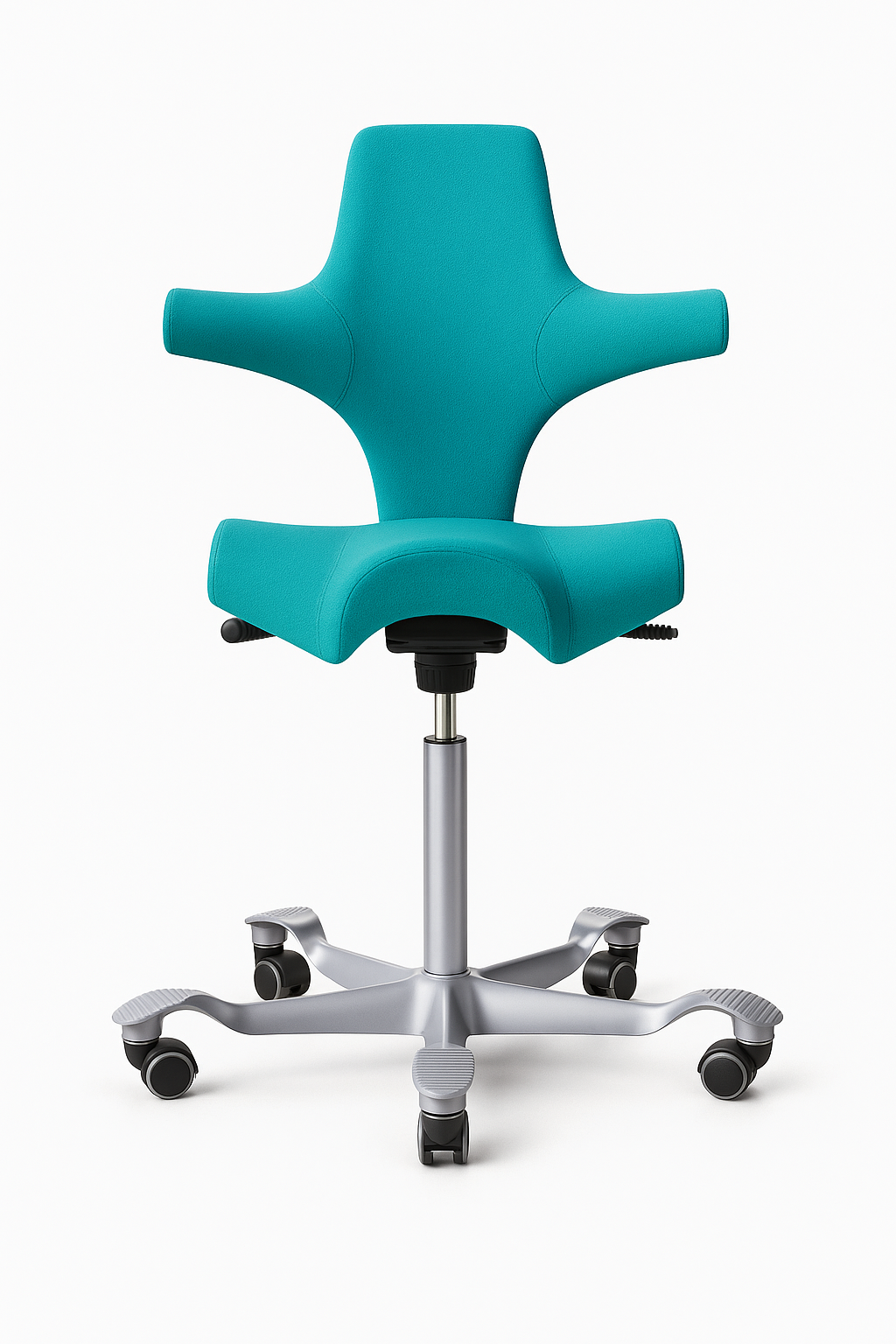 Nypolstret og renoveret Håg Capisco i valgfri farve